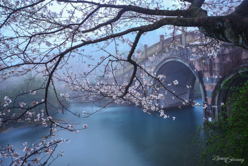 mingsonjia:杭州之春 Spring of Hangzhou, China by zhangkeshuang