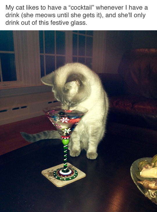 tastefullyoffensive:  Classy af. (via madelinegemma) 