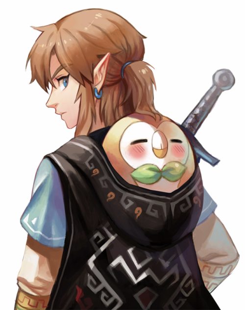 jumpydroid - “Link and Rowlet”by shrw_bn(source - ...