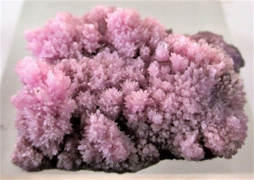 Cobaltoan Aragonite - Richelsdorf, Hesse, Germany