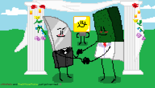 Minecraft Married!