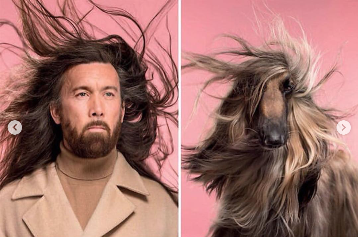 babyanimalgifs: Photographer puts dogs and their owners side by side, and the resemblance