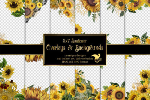 5x7 Sunflower Overlays Graphic by Digital Curio This digital product includes:– 12 PNG overlay