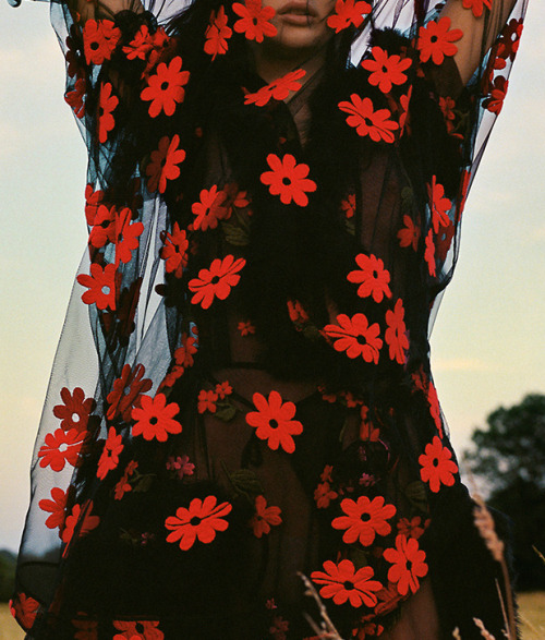 orwell:photographed by Ben Toms for Vogue China, November 2017