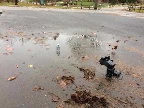 nickfancher:  After the Rain Puddles are awesome for pictures. Even on overcast days. Take this product shot, for example. All I needed was a normal size puddle in an empty parking lot and one flash to get a dramatic image. The trick is placing your light