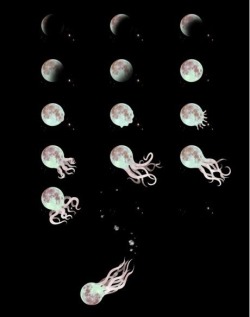 kawaiibubblegum:  Piccsy :: Octopus Moon - https://weheartit.com/entry/10084071
