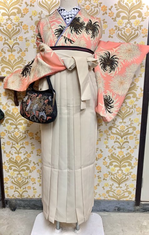 Chic hakama outfit pairing pinks and more neutral tones, featuring a kiku (chrysanthemums) kimono, w