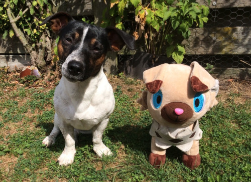 Benji made a new friend!