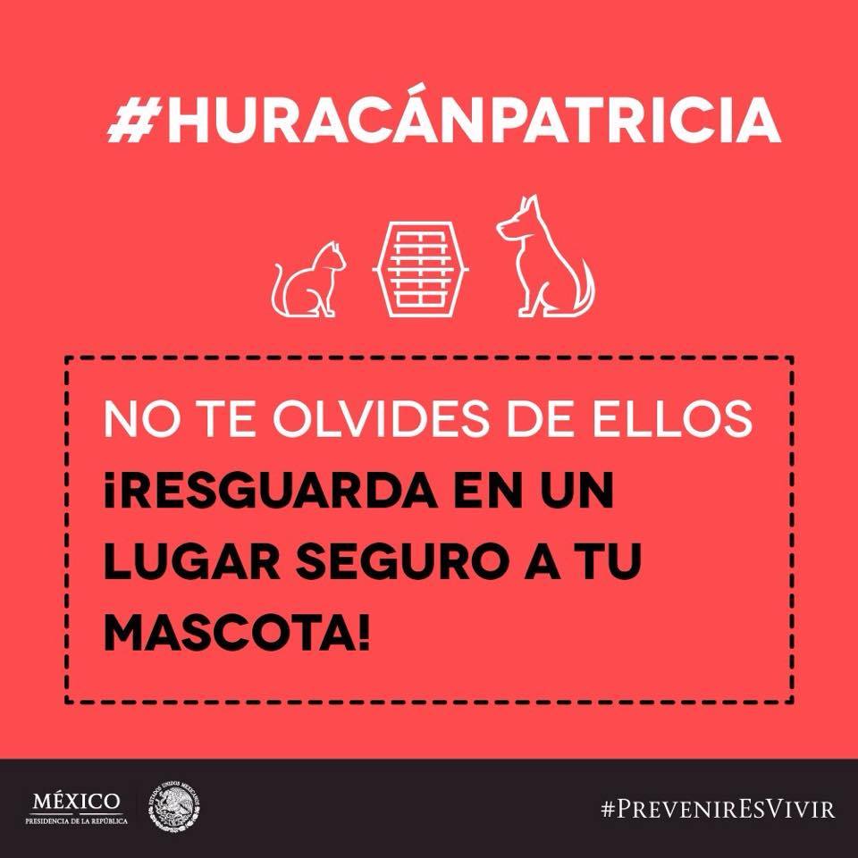 Lista de ayuda para Huracán Patricia en México