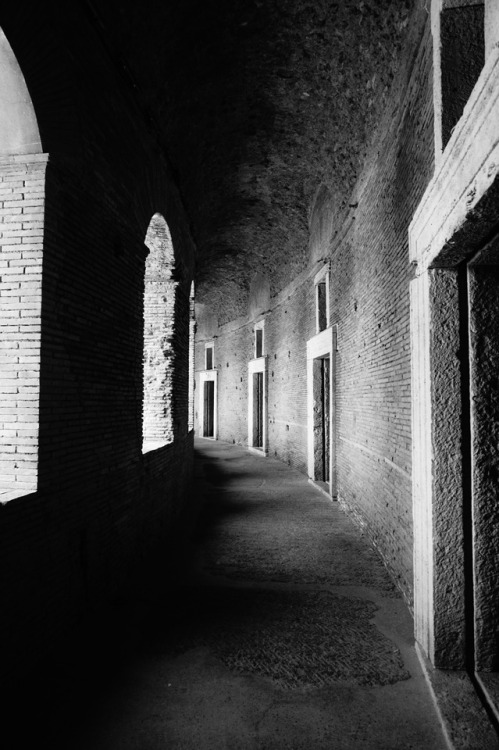 Thanks a lot to @lensblr-network for the reblog!
