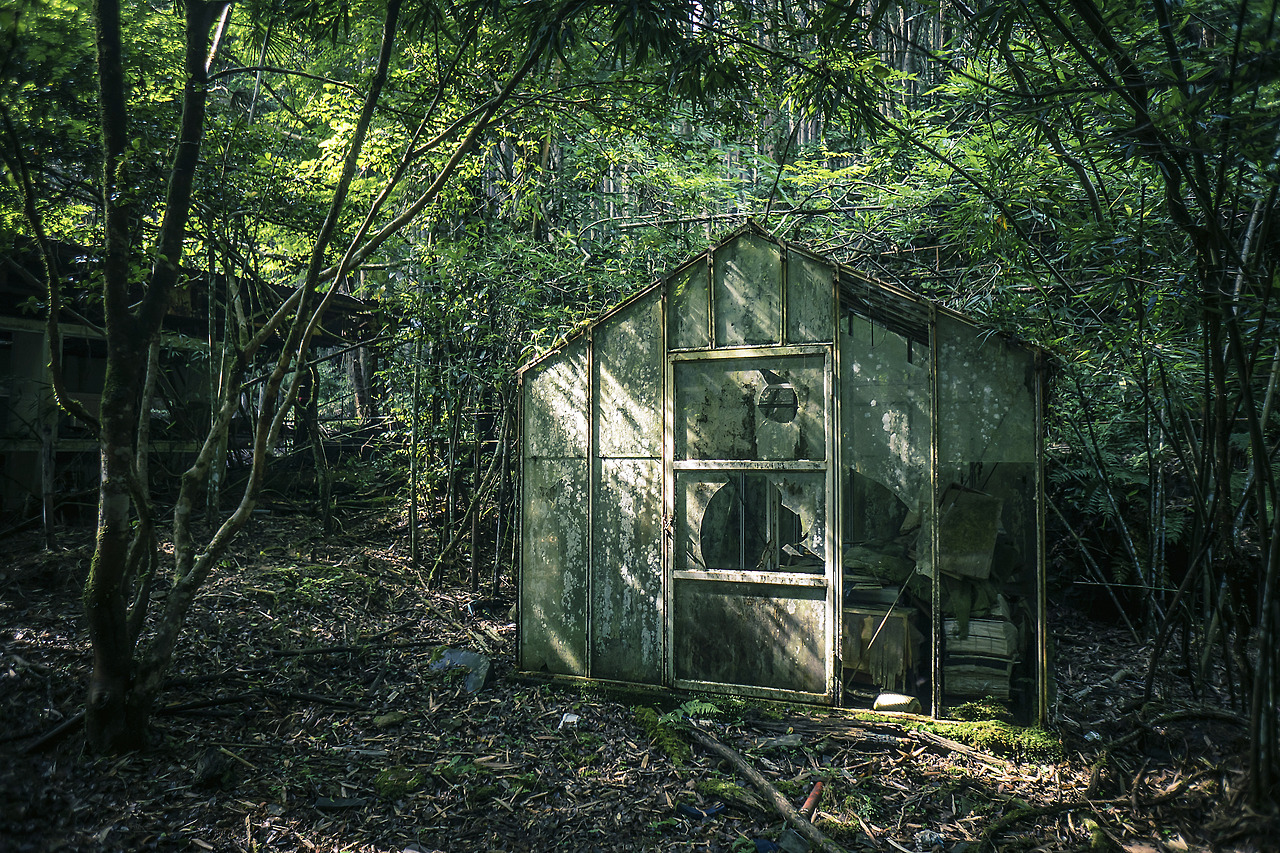 elugraphy:Abandoned   playground in forest 01.