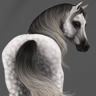 Kicking this off with my first ever attempt at a dapple grey! For a limited time only I’l