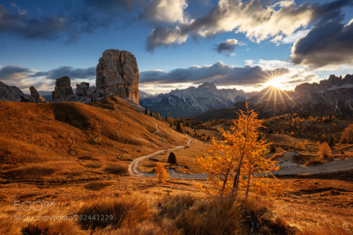 Larches on Fire by martas