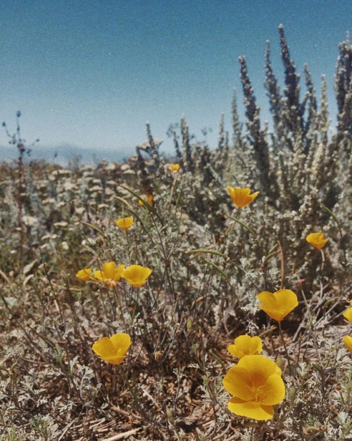 This was shot in Half Moon Bay in California on #thewildandwonderfulamericanroadtrip. ⠀⠀⠀⠀⠀⠀⠀⠀⠀ I fu