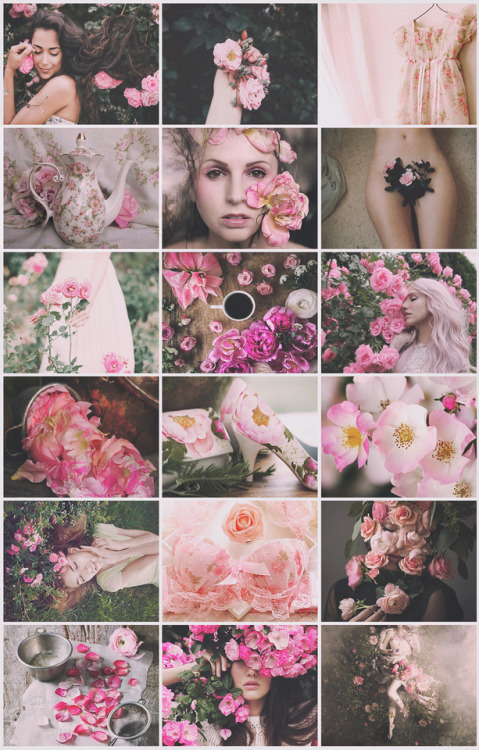 aestheticschaos: Garden Rose Fairy aesthetic