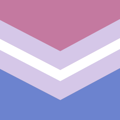 The first ten in a set of edits I’m super PROUD of! LGBTQ+ flags in the style of the queer chevron! 