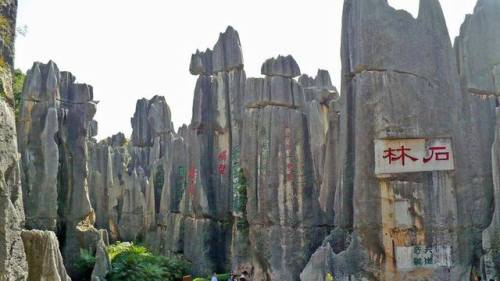 Shilin - a forest made of stoneShilin Forest Stone is an impressive karst landscape located in the S