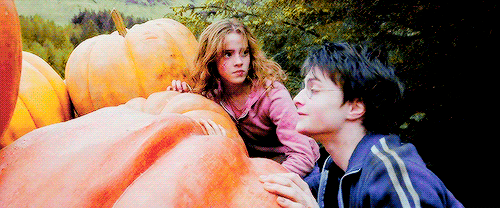sam-dean:HALLOWEEN COUNTDOWN with Harry and Hermione.