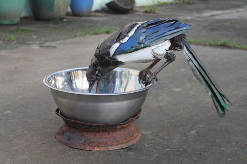 laurelcrownedkitten: awkwardfortuneteller: awesome-picz: Artist Turns Scrap Metal Into Animals. The 