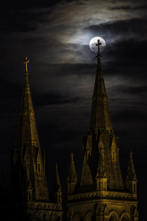 medieval-woman:Cross and Halo (St Peter’s Cathedral, Adelaide) by Dino