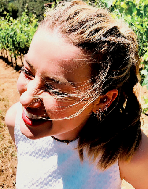 dailyamberheard:amber in sonoma