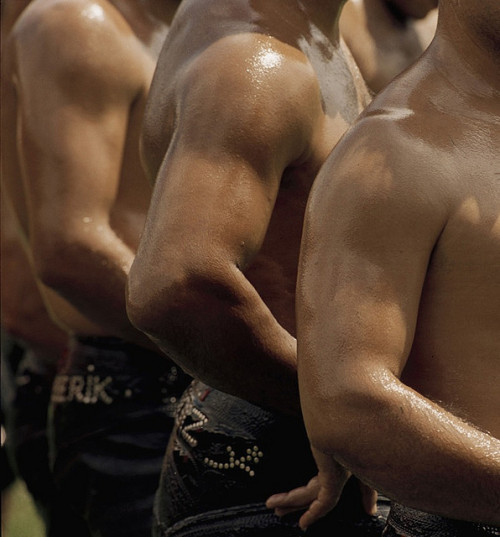 XXX Turkish oil wrestling (Yağlı güreş) photo