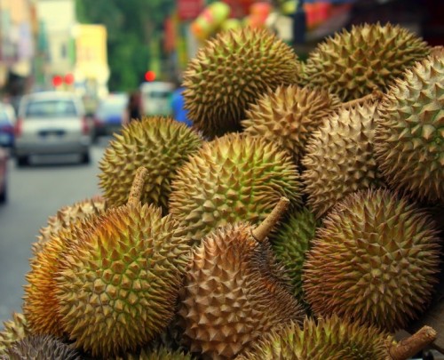 rawtrueself:  durian