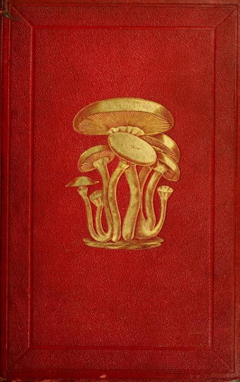 transoptic:Histoire naturelle des champignons comestibles et ve´ne´neux.  Paris. 18