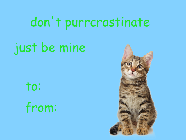 lumin4nce:someone needs to stop mevalentines that will make ppl (or cats) like you