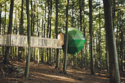 mymodernmet:  Secluded Treehouse Hotels Allow