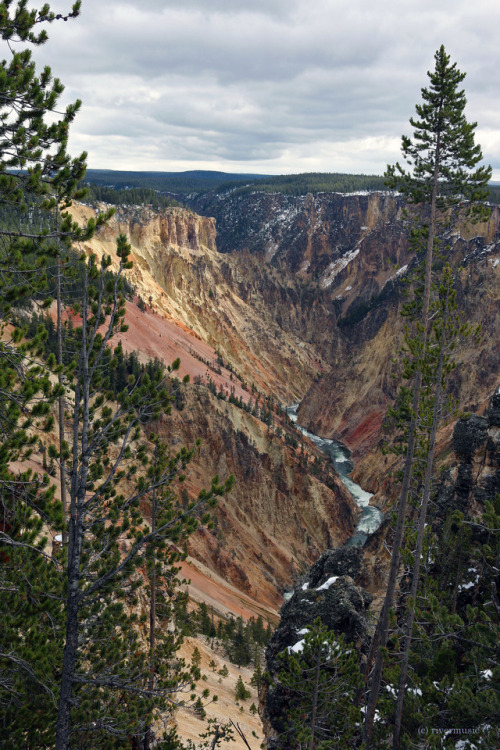 Blue Ribbon: The Grand Canyon of the Yellowstone River, Yellowstone National Parkby riverwindphotogr