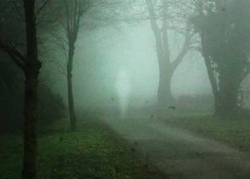 theghostdiaries: This picture was taken in Guildford, located in the United Kingdom. Amateur photogr