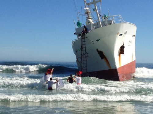 Porn zerolabarre:  Pizza delivery on ship that photos