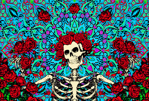 rocknrollfuldead:  click to trip balls