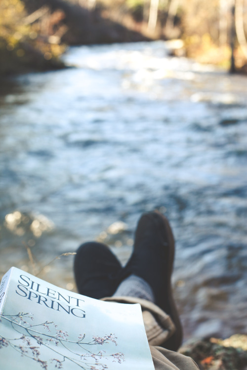 gettingahealthybody:  Autumn; favorite season ever.