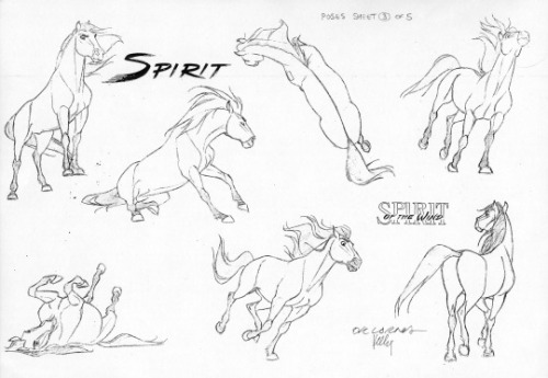 Spirit Was Probably The Film I Learned The Most On. Spirit Was A Big Learning Experience For Me. Id Done
