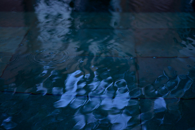 melisica:  (by Lauren Predki) 