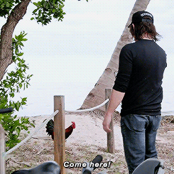 reedusnorman:Norman Reedus and The Chicken: Part 2