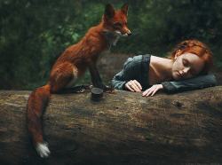 drxgonfly: Girl and Fox (by  Alexandra Bochkareva)