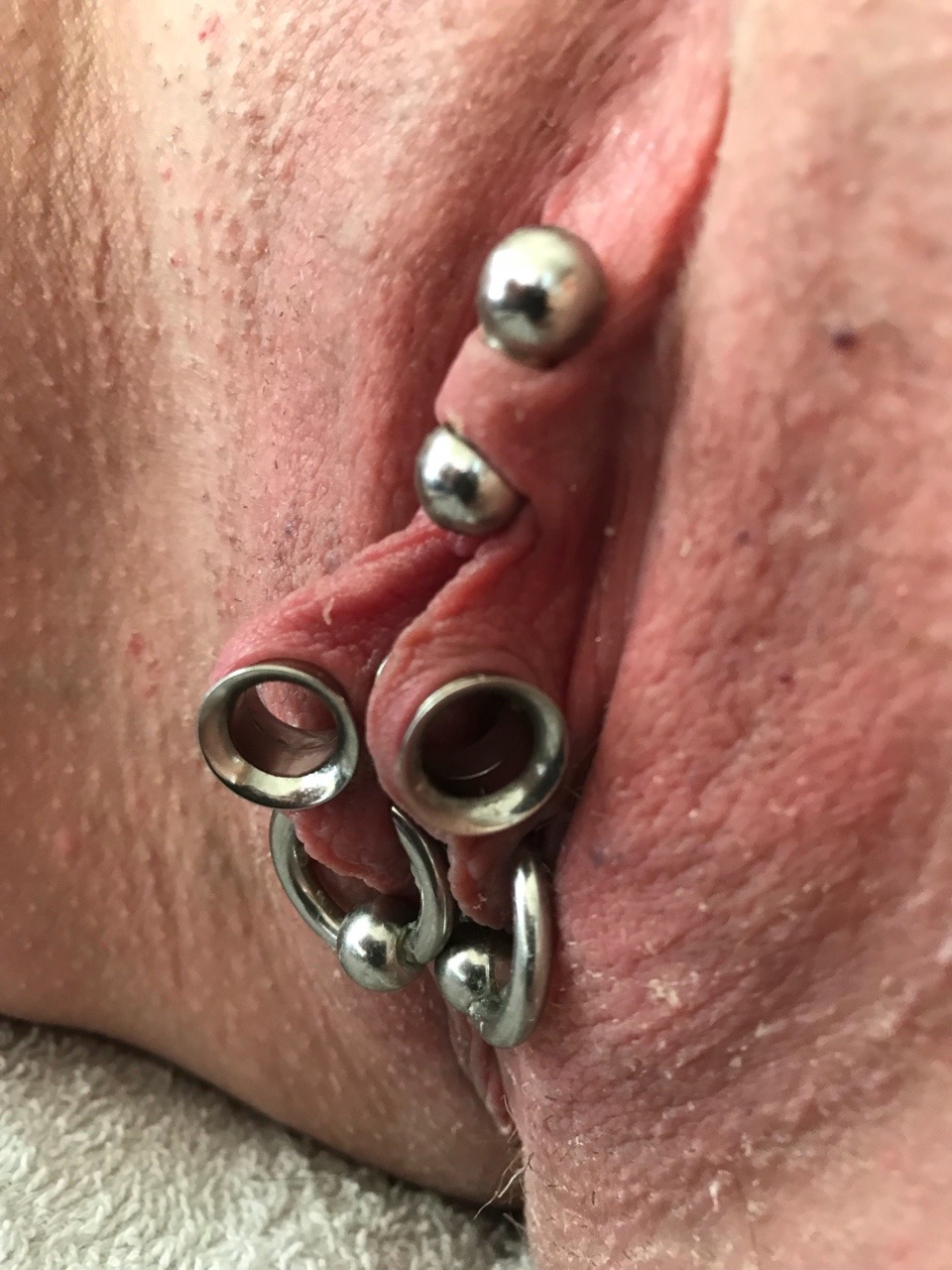 jomandaworld:  Assorted large gauge nipple, labia and hood piercings