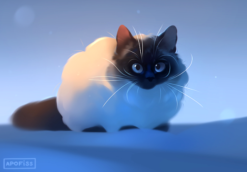 Frosty Winter Morning! (==) Wallpaper Available! Https://www.patreon.com/apofiss