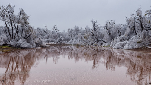 tornadotitans:Photos from the ice storm from this past weekend. All pics are from the El Reno, OK ar