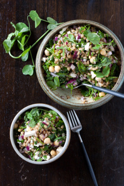 intensefoodcravings:  Spring Wheat Berry Salad with Lemon Sumac Dressing | Local Kitchen