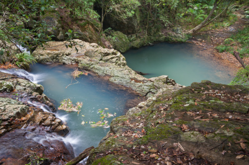 oceaniatropics:   Unicorn Waterhole, Mt Jerusalem National Park, NSW Australia