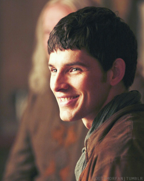 profmalva:What happened to you, Merlin?Sources : Colinmorfan (Merlin) and hessofluffyyy (Leo)