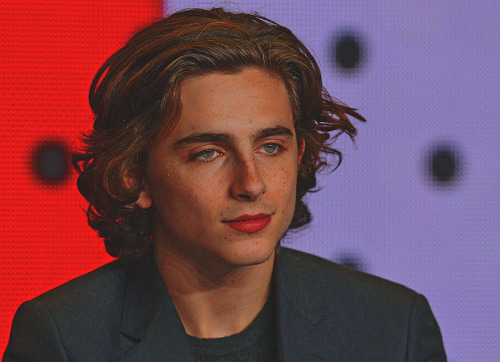 Timothée Chalamet