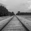 vintage-capture-photography