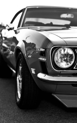 h-o-t-cars:  Chevrolet Camaro SS by Generator Photography  