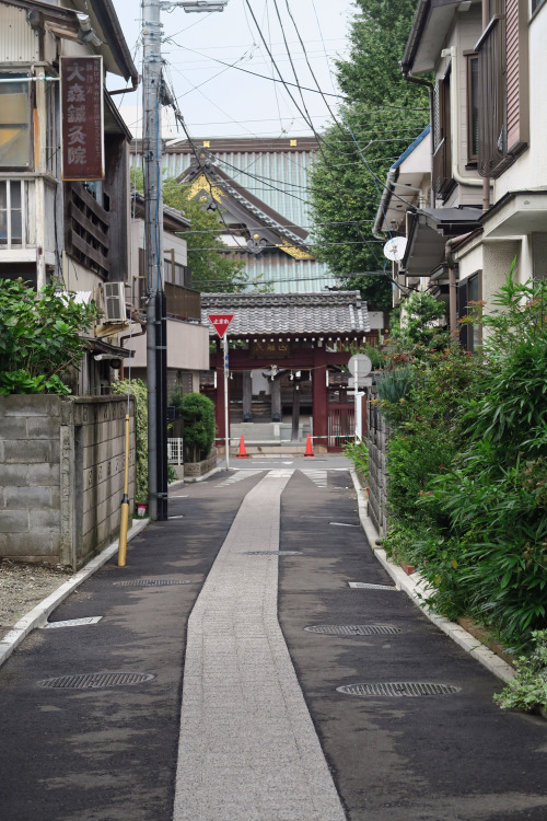 ninetail-fox:a temple in the town ,Fujisawa