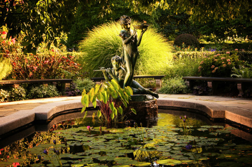Summer: Secret Garden Water Lily Pool - Central Park - New York City